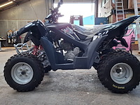 Quad, adly, atv-300xs, 2016 - afbeelding 19 van  22