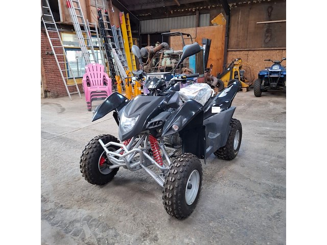Quad, adly, atv-300xs, 2016 - afbeelding 20 van  22