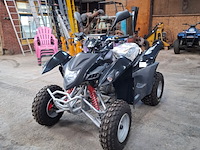 Quad, adly, atv-300xs, 2016 - afbeelding 20 van  22