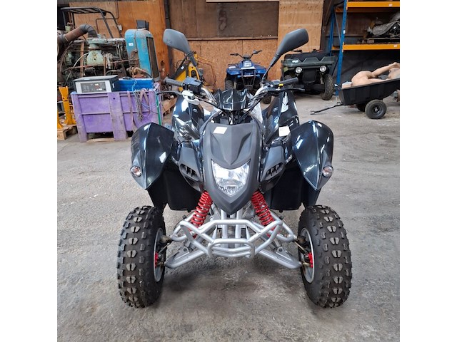 Quad, adly, atv-300xs, 2016 - afbeelding 21 van  22