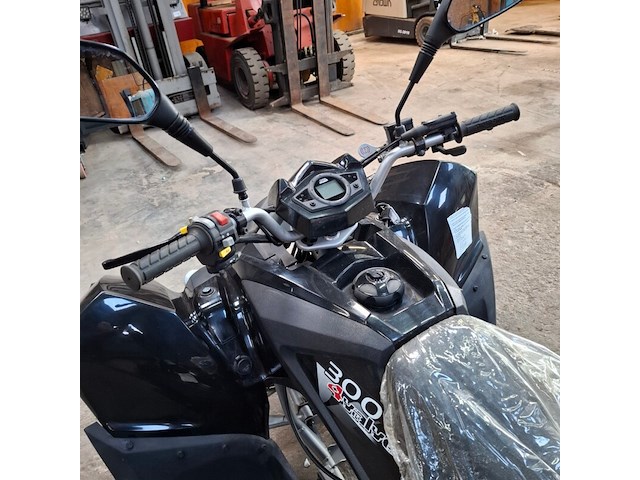 Quad, adly, atv-300xs, 2016 - afbeelding 22 van  22