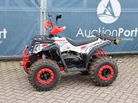 Quad aiii commander 200 benzine 10pk 2025 demo - afbeelding 1 van  1