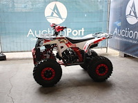 Quad am commander aga-6 2024 nieuw - afbeelding 1 van  1