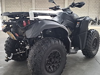 Quad, can-am, renegade, 2017 - afbeelding 2 van  30