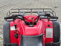 Quad, jianshe, wildcat, 2011 - afbeelding 2 van  26