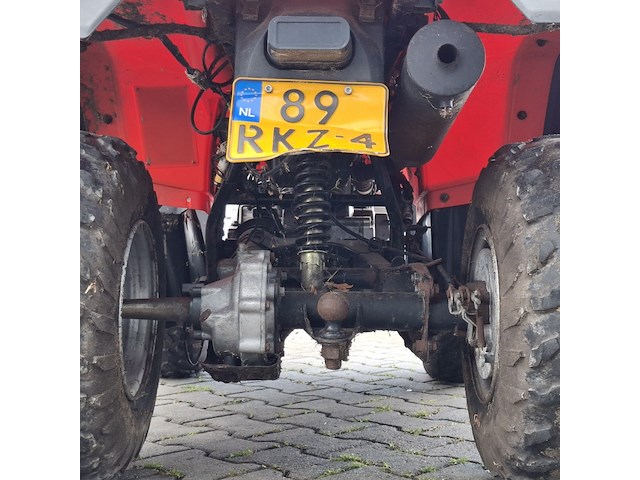 Quad, jianshe, wildcat, 2011 - afbeelding 18 van  26
