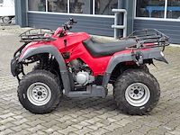 Quad, jianshe, wildcat, 2011 - afbeelding 12 van  26