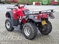 Quad, jianshe, wildcat, 2011 - afbeelding 20 van  26