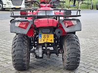 Quad, jianshe, wildcat, 2011 - afbeelding 21 van  26
