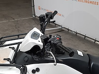 Quad, kawasaki, kvf 300c - afbeelding 18 van  31