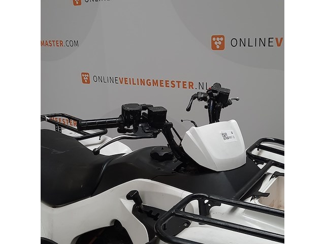 Quad, kawasaki, kvf 300c - afbeelding 26 van  31