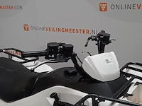 Quad, kawasaki, kvf 300c - afbeelding 26 van  31