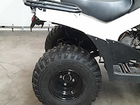 Quad, kawasaki, kvf 300c - afbeelding 31 van  31