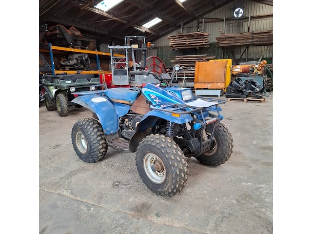 Quad polaris, d-bat 400 4x4, bouwjaar 1998 - afbeelding 1 van  18