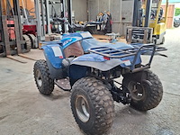 Quad polaris, d-bat 400 4x4, bouwjaar 1998 - afbeelding 14 van  18