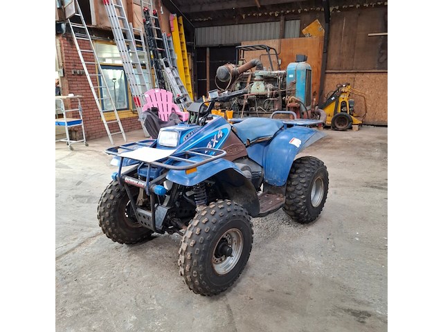 Quad polaris, d-bat 400 4x4, bouwjaar 1998 - afbeelding 16 van  18