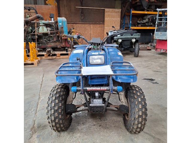 Quad polaris, d-bat 400 4x4, bouwjaar 1998 - afbeelding 17 van  18