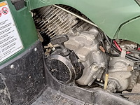 Quad, yamaha, grizzly 350 automaat, 2009 - afbeelding 6 van  19