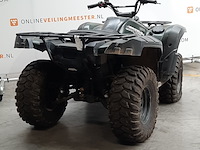 Quad, yamaha, grizzly 700 - afbeelding 22 van  25