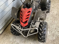 Quad - afbeelding 5 van  8