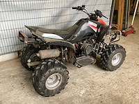 Quad - afbeelding 6 van  8