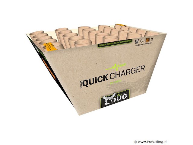 Quick charger - afbeelding 1 van  1