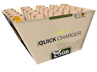 Quick charger - afbeelding 1 van  1