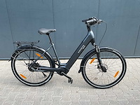 Rabeneick comfort elektrische fiets - afbeelding 1 van  19