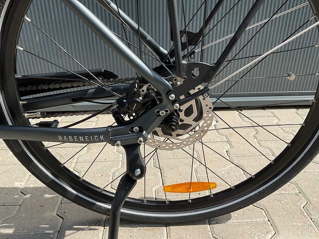 Rabeneick comfort elektrische fiets - afbeelding 15 van  19
