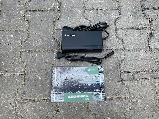 Rabeneick comfort elektrische fiets - afbeelding 9 van  17