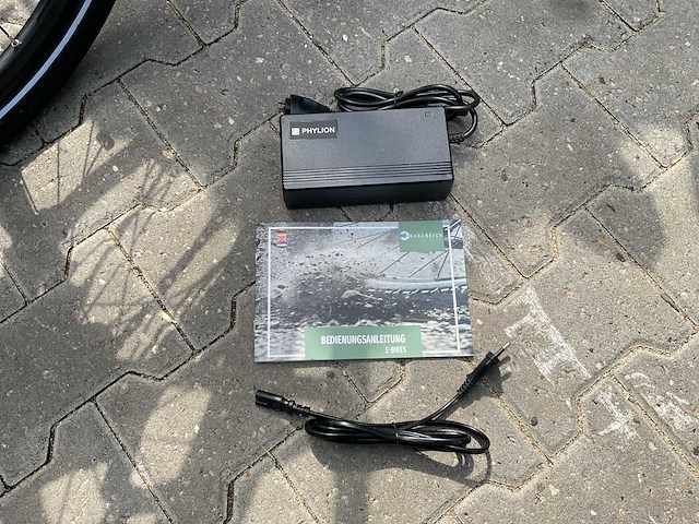Rabeneick comfort elektrische fiets - afbeelding 8 van  17