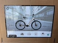 Rabeneick comfort elektrische fiets - afbeelding 9 van  17
