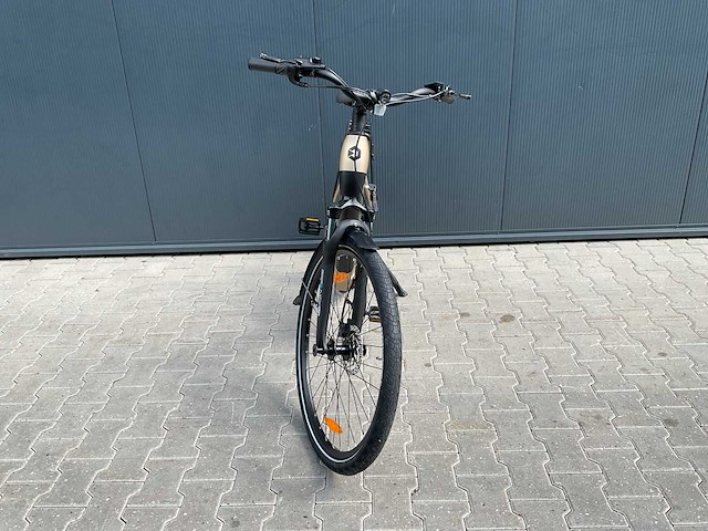 Rabeneick comfort elektrische fiets - afbeelding 15 van  17
