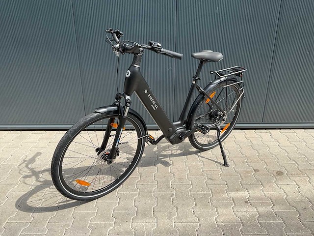 Rabeneick comfort elektrische fiets - afbeelding 14 van  17