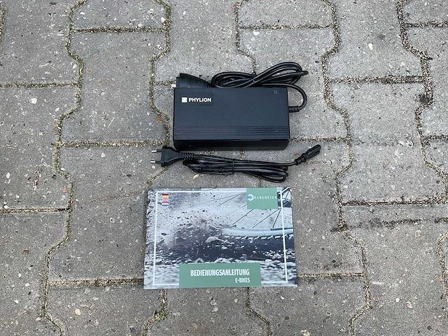 Rabeneick comfort elektrische fiets - afbeelding 10 van  17