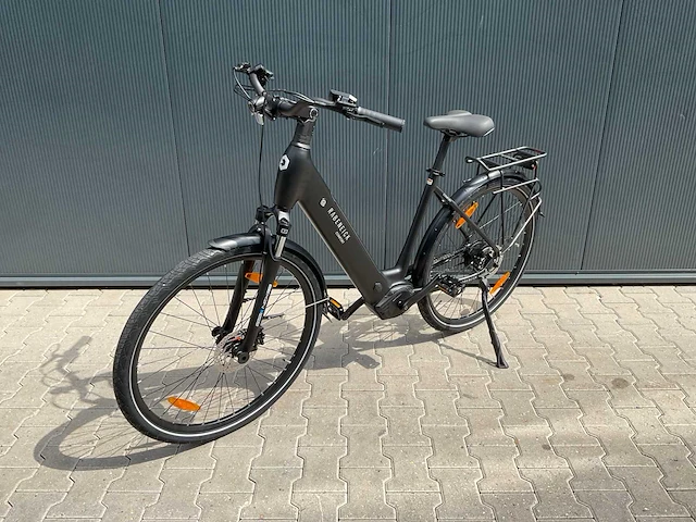 Rabeneick comfort elektrische fiets - afbeelding 15 van  17