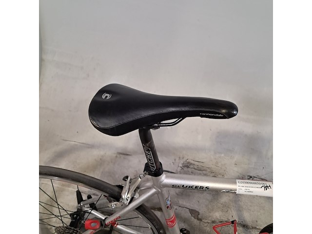 Racefiets, schwinn, fastback - afbeelding 7 van  11