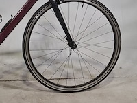 Racefiets, triban - afbeelding 9 van  13