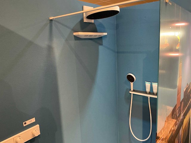 Radaway / hansgröhe douchecombinatie - afbeelding 7 van  8