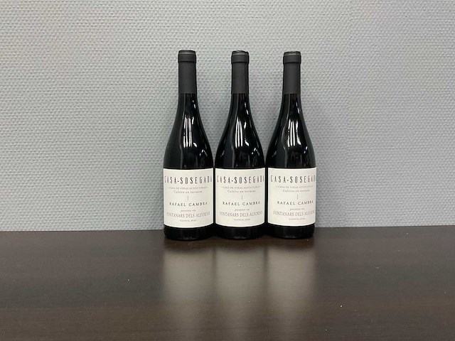 Rafael cambra casa sosegada 2021 (3x) - afbeelding 1 van  3