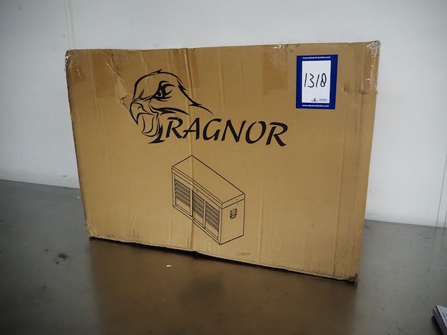 Ragnor - afbeelding 1 van  9