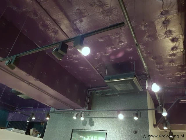 Railverlichting met richtbare spots - afbeelding 3 van  6
