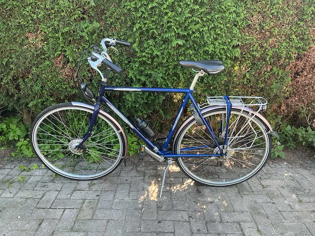 Raleigh wasp herenfiets - afbeelding 1 van  12