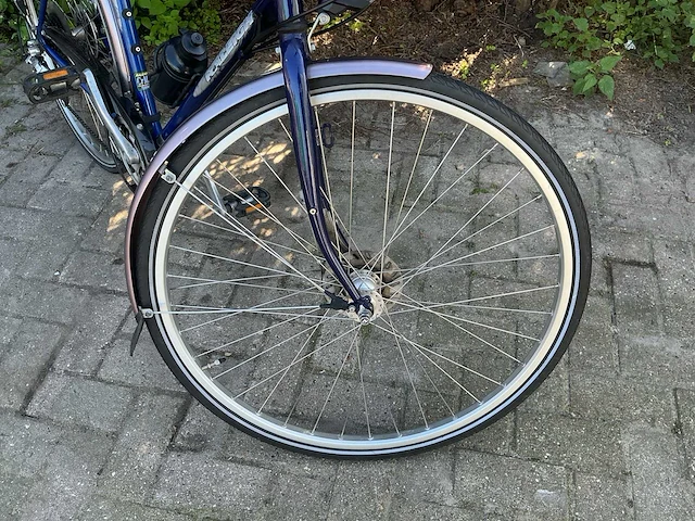 Raleigh wasp herenfiets - afbeelding 6 van  12