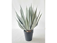 Real touch agave kunstplant (2x) (95cm hoog) - afbeelding 6 van  13