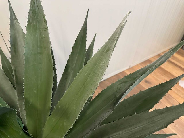 Real touch agave kunstplant (95cm hoog) - afbeelding 4 van  13