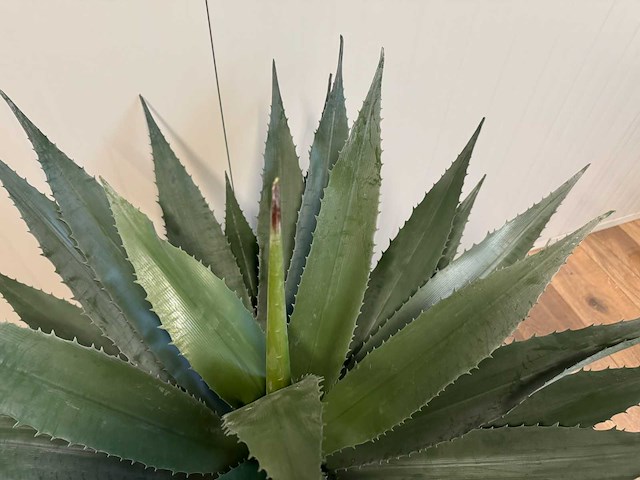 Real touch agave kunstplant (95cm hoog) - afbeelding 12 van  13