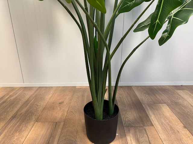 Real touch alocasia tree kunstplant (175cm hoog) - afbeelding 9 van  11