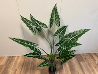 Real touch alocasia tree kunstplant (175cm hoog) - afbeelding 6 van  11