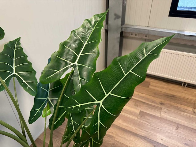 Real touch alocasia tree kunstplant (2x) (175cm hoog) - afbeelding 2 van  11